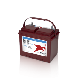 Batería Trojan TROJAN 24TMX - 1