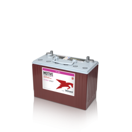 Batería Trojan TROJAN 31-GEL - 1