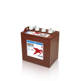 Batería Trojan TROJAN T-890 - 1