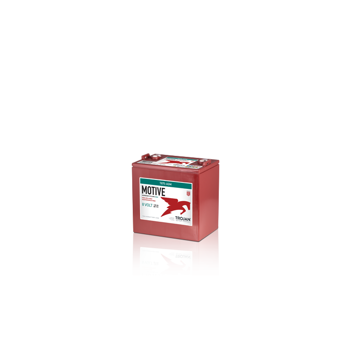 Batería Trojan TROJAN T875-AGM - 1