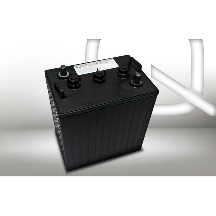 Battery 260Ah 6V Q-Battery 6DC-260 | telebaterias.com