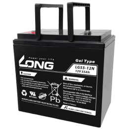 Batteria per carrozzina 55Ah 12V Long LG55-12N | telebaterias.com