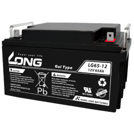 Bateria para cadeira de rodas 65Ah 12V Long LG65-12 | telebaterias.com