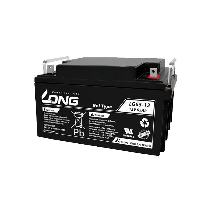 Batería para silla de ruedas 65Ah 12V Long LG65-12 | telebaterias.com