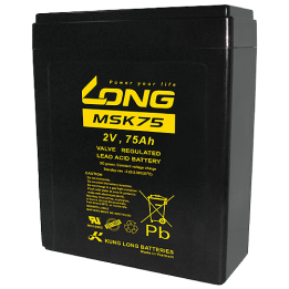 Batterie 75Ah 2V Long MSK75 | telebaterias.com