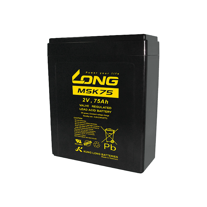 Battery 75Ah 2V Long MSK75 | telebaterias.com