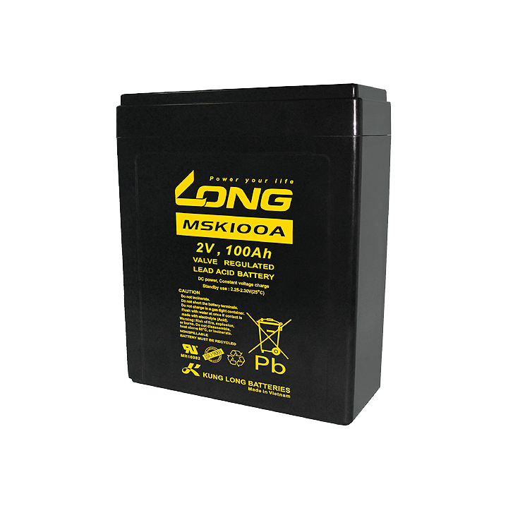 Battery 100Ah 2V Long MSK100A | telebaterias.com