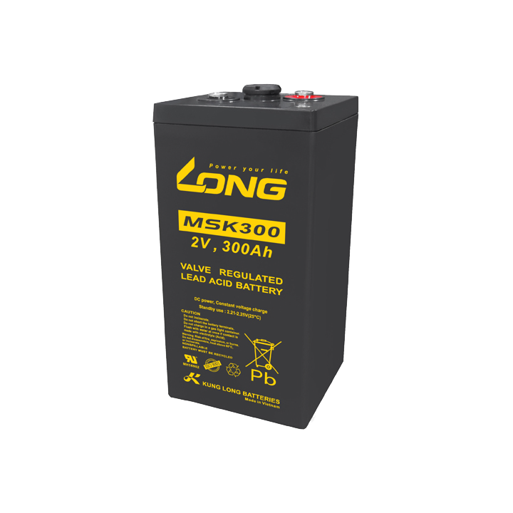 Batterie 300Ah 2V Long MSK300 | telebaterias.com