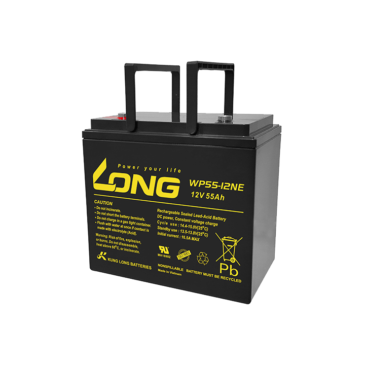 Batería para silla de ruedas 55Ah 12V Long WP55-12NE | telebaterias.com