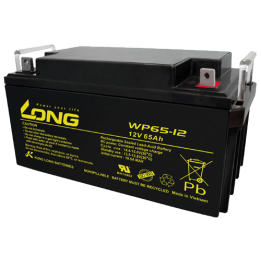 Batteria per carrozzina 65Ah 12V Long WP65-12 | telebaterias.com