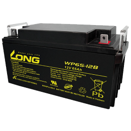 Batería para silla de ruedas 65Ah 12V Long WP65-12B | telebaterias.com