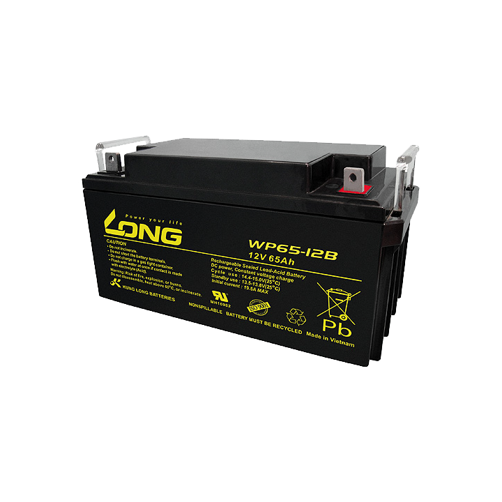 Batteria per carrozzina 65Ah 12V Long WP65-12B | telebaterias.com