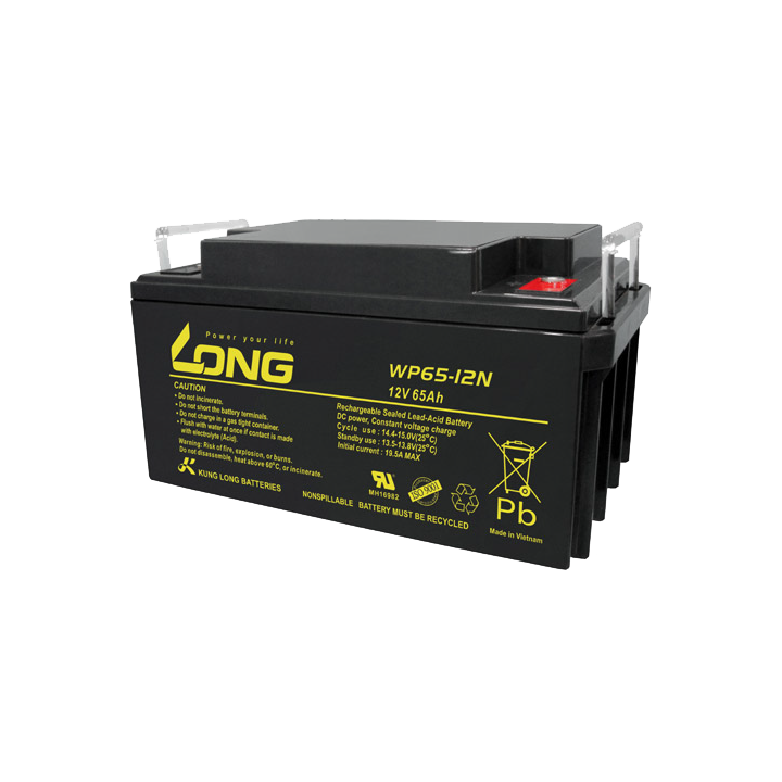 Batteria per carrozzina 65Ah 12V Long WP65-12N | telebaterias.com