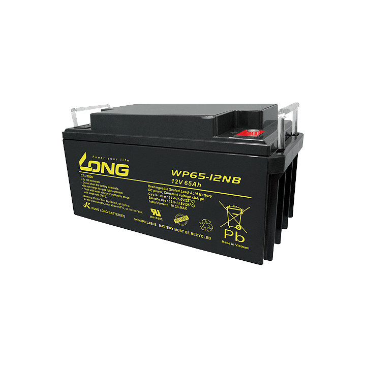 Rollstuhlbatterie 65Ah 12V Long WP65-12NB | telebaterias.com