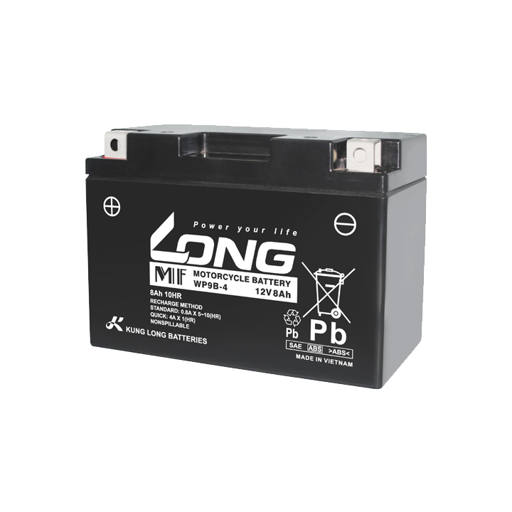 USV-Batterie 8Ah 12V Long WP9B-4 | telebaterias.com