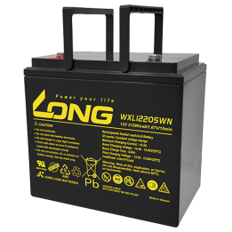 Batteria per UPS 55Ah 12V Long WXL12205WN | telebaterias.com