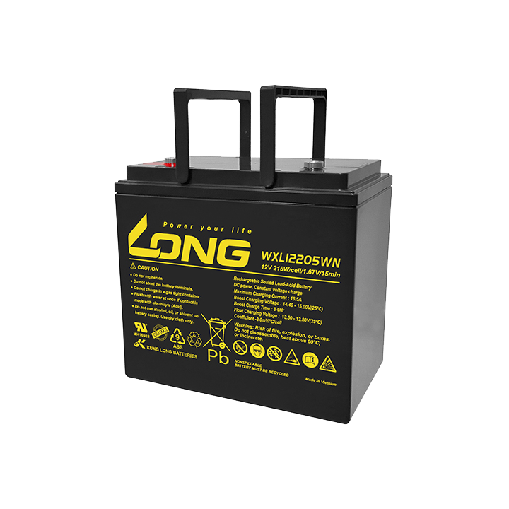 Batteria per UPS 55Ah 12V Long WXL12205WN | telebaterias.com