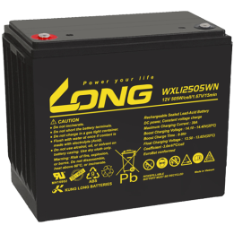 Batteria per UPS 130Ah 12V Long WXL12505WN | telebaterias.com