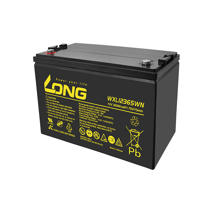 Batteria per UPS 95Ah 12V Long WXL12365WN | telebaterias.com